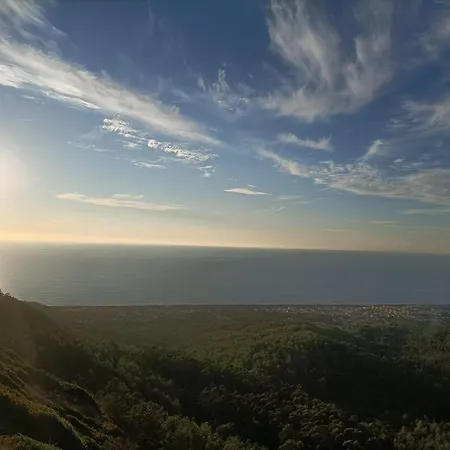 Casa Dos Cogumelos - Retiro Exclusivo A Beira Mar Murtinheira