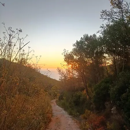 Casa Dos Cogumelos - Retiro Exclusivo A Beira Mar *