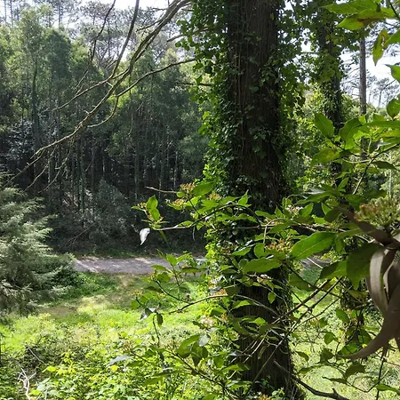Vila Casa Dos Cogumelos - Retiro Exclusivo A Beira Mar