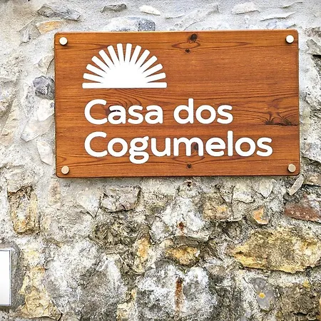 Casa Dos Cogumelos - Retiro Exclusivo A Beira Mar Vila Murtinheira
