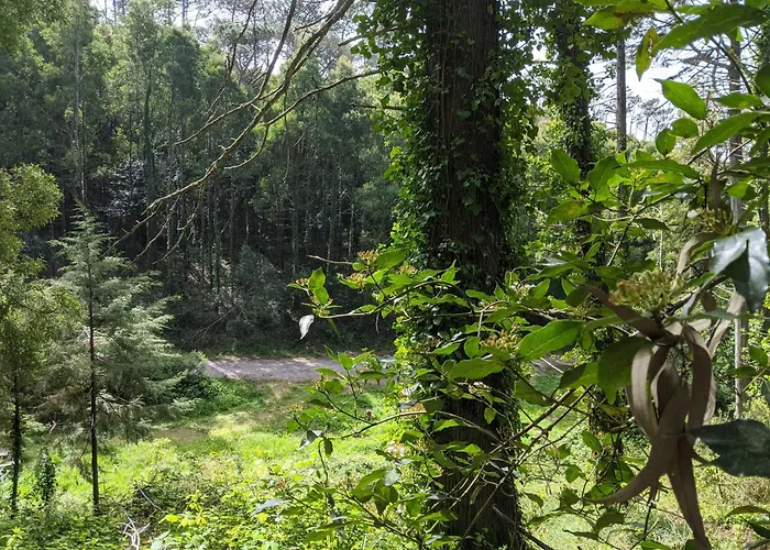 Villa Casa Dos Cogumelos - Retiro Exclusivo à Beira Mar